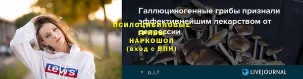 первитин Арсеньев